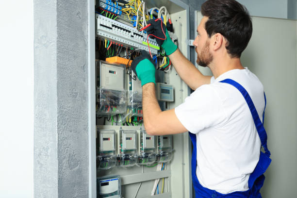 Best Electric Panel Repair  in Barrington, IL